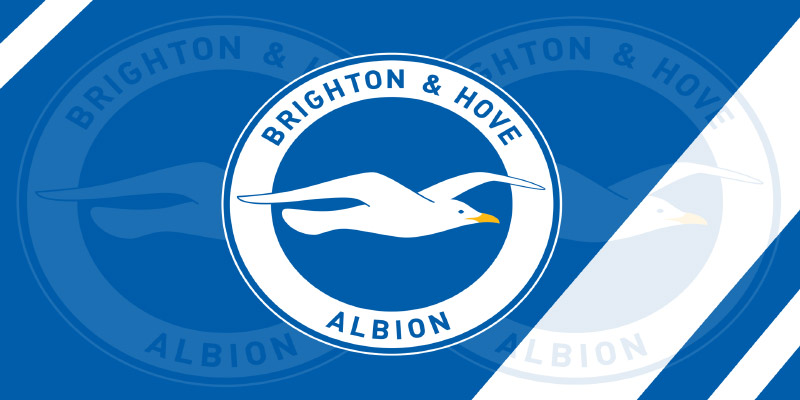 Brighton FC: From Underdogs to Premier League Force